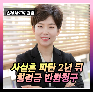 사실혼 파탄된지 2년이 지났던 것으로 횡령금 반환 청구 이미지