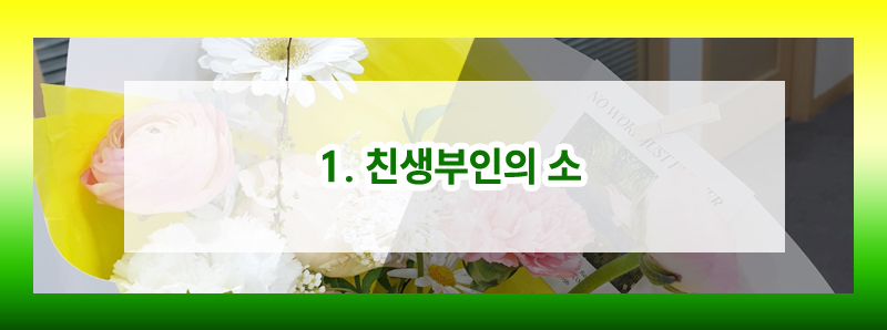 친생부인의 소와 친생부인허가 비교(별거 중 다른 남자의 아이를 출산한 경우) 이미지