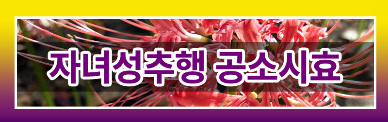 배우자의 폭력 및 자녀 성추행에 대한 법적 대응 이미지