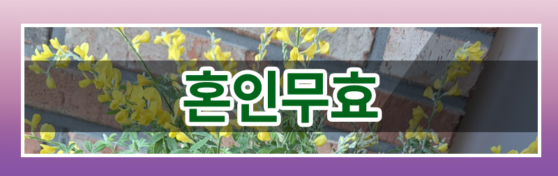 결혼 직후 사라진 베트남 아내에 대한 혼인무효 소송 이미지