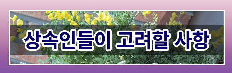 결혼 직후 사라진 베트남 아내에 대한 혼인무효 소송 이미지