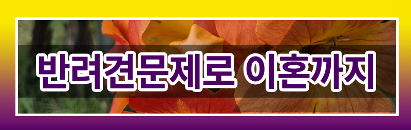 반려견의 죽음에 공감하지 못하는 배우자의 태도를 이혼 사유로 삼을 수 있나요? 이미지