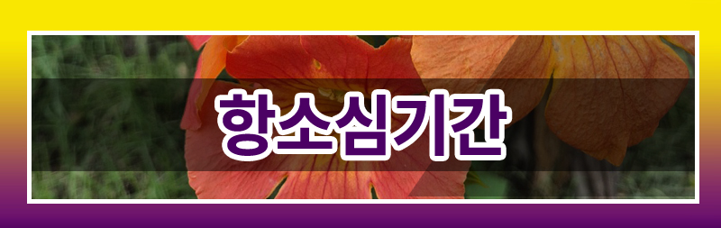 반려견의 죽음에 공감하지 못하는 배우자의 태도를 이혼 사유로 삼을 수 있나요? 이미지