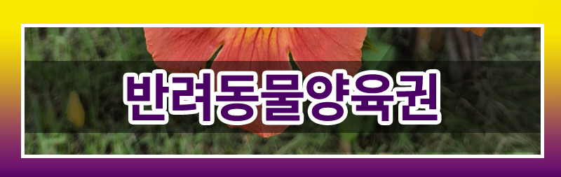 반려견의 죽음에 공감하지 못하는 배우자의 태도를 이혼 사유로 삼을 수 있나요? 이미지