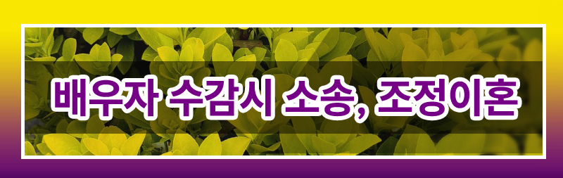 성범죄 저지른 남편, 이혼 할 수 있을까요. 이미지