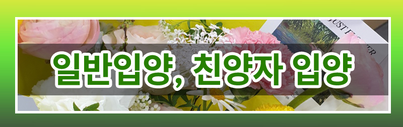 재혼하며 친양자로 입양한 아이 파양이 가능한지 여부 이미지