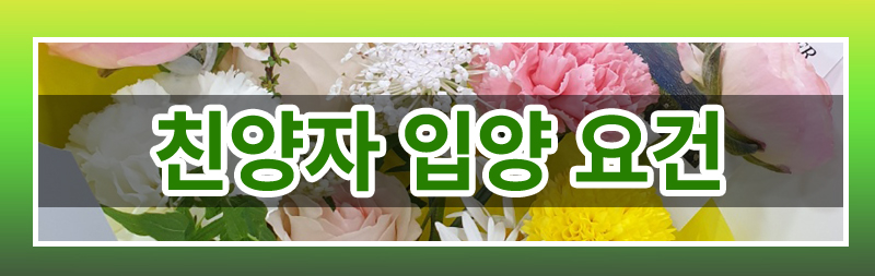 재혼하며 친양자로 입양한 아이 파양이 가능한지 여부 이미지