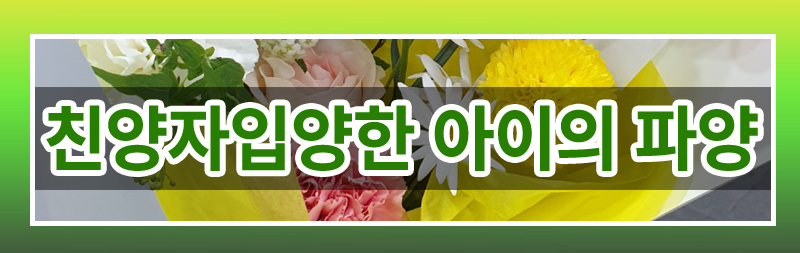 재혼하며 친양자로 입양한 아이 파양이 가능한지 여부 이미지