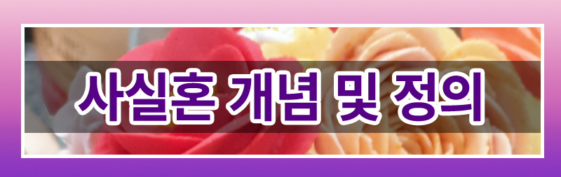 사실혼 이혼 완벽 가이드! 재산분할부터 양육권까지 이미지