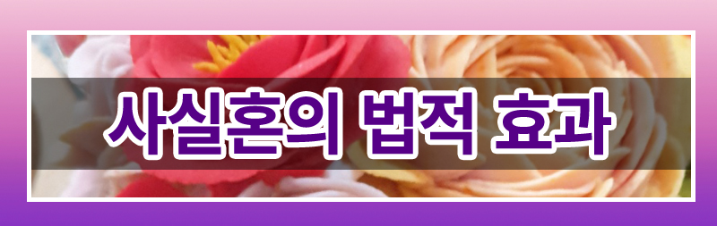 사실혼 이혼 완벽 가이드! 재산분할부터 양육권까지 이미지