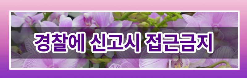 가정폭력에서의 다양한 접근금지 조치들 정리 이미지