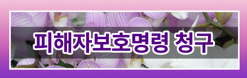 가정폭력에서의 다양한 접근금지 조치들 정리 이미지