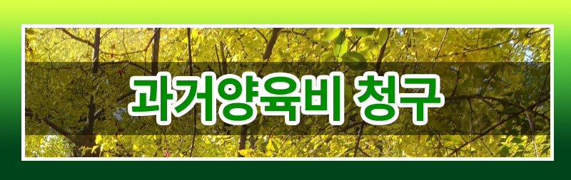과거 양육비의 모든 것 완벽 정리해드립니다. 이미지