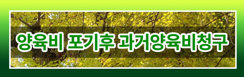 과거 양육비의 모든 것 완벽 정리해드립니다. 이미지