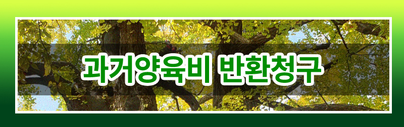과거 양육비의 모든 것 완벽 정리해드립니다. 이미지