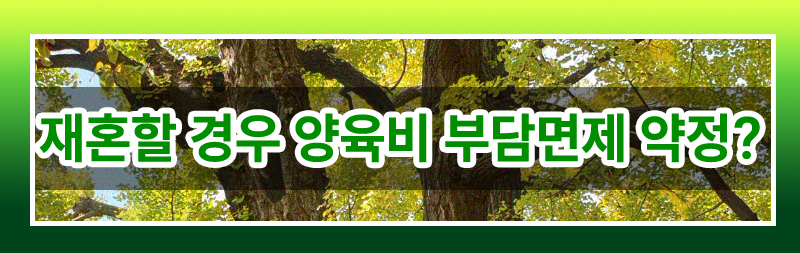 과거 양육비의 모든 것 완벽 정리해드립니다. 이미지