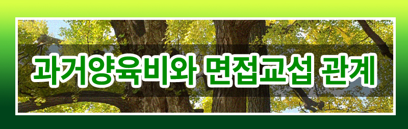 과거 양육비의 모든 것 완벽 정리해드립니다. 이미지