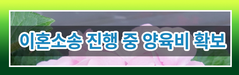 양육비 집행의 모든 것! 정리해드립니다. 이미지