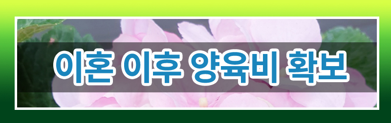 양육비 집행의 모든 것! 정리해드립니다. 이미지