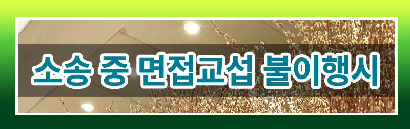 면접교섭권 이행확보 이미지