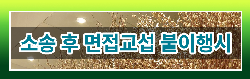 면접교섭권 이행확보 이미지