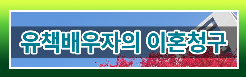 유책배우자도 이혼할 수 있을까요?(최신판례정리) 이미지