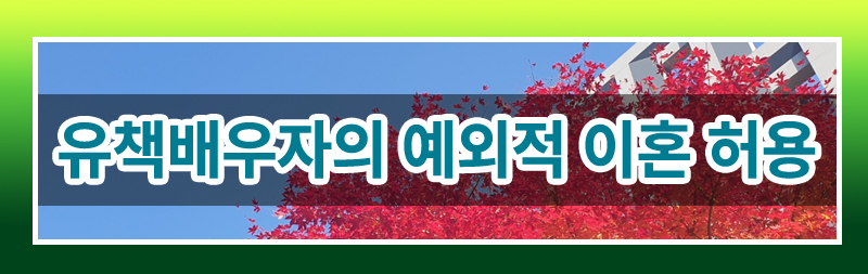 유책배우자도 이혼할 수 있을까요?(최신판례정리) 이미지