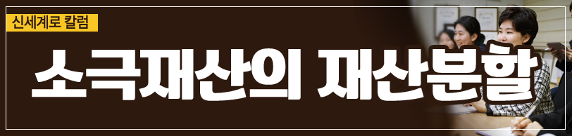 소극재산도 재산분할 대상이 되는지 여부 이미지