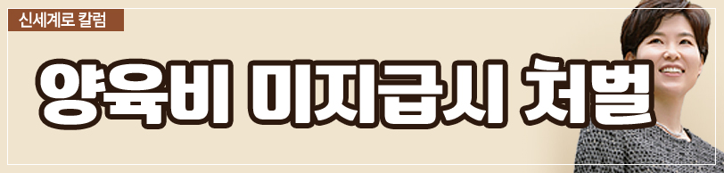 양육비를 일시금으로 받을 수 있나요 이미지