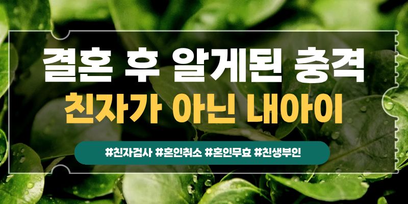 내아이가 친자가 아니다, 혼인무효? 이미지