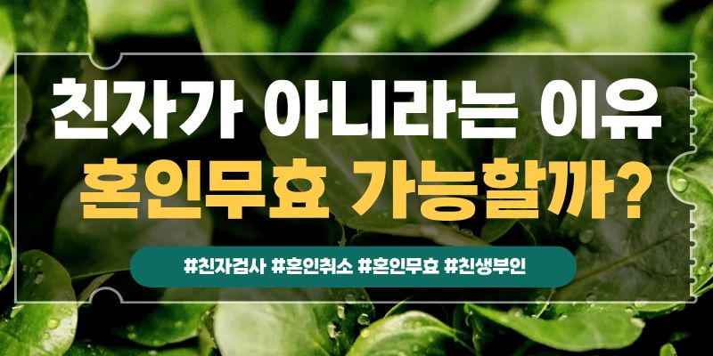 내아이가 친자가 아니다, 혼인무효? 이미지