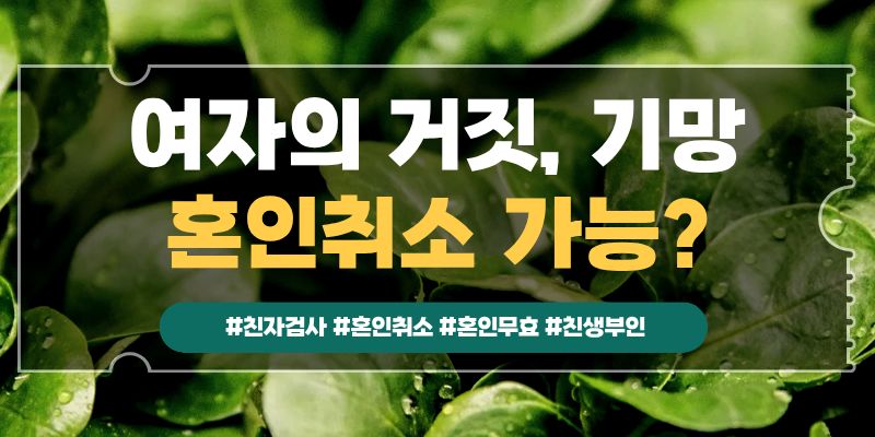 내아이가 친자가 아니다, 혼인무효? 이미지