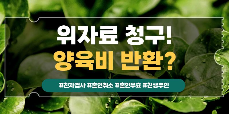 내아이가 친자가 아니다, 혼인무효? 이미지