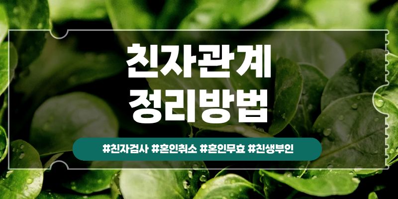 내아이가 친자가 아니다, 혼인무효? 이미지
