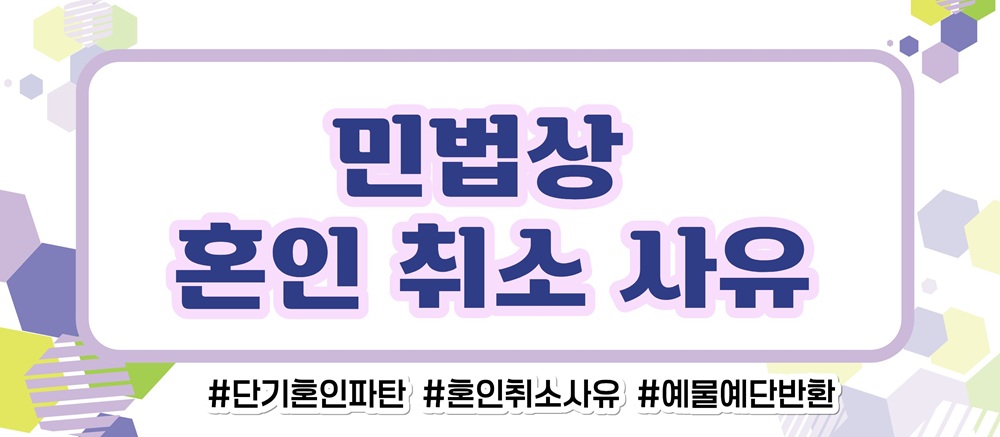 거짓말 투성인 남편, 혼인취소와 결혼비용반환 이미지