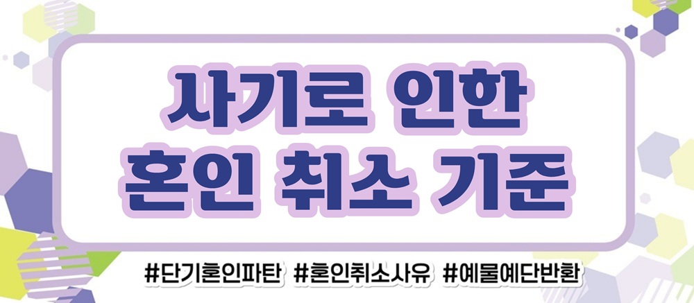 거짓말 투성인 남편, 혼인취소와 결혼비용반환 이미지