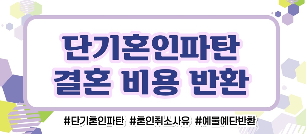 거짓말 투성인 남편, 혼인취소와 결혼비용반환 이미지