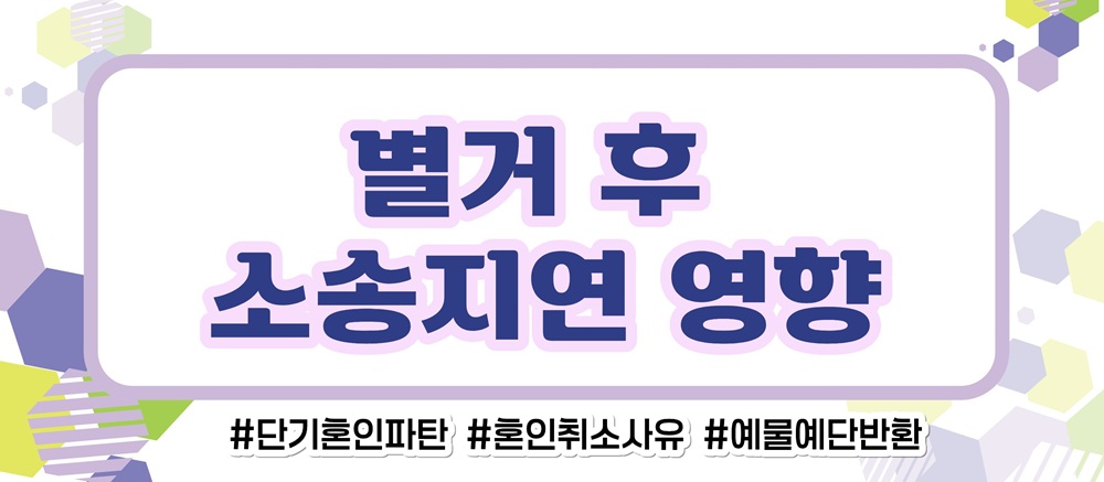거짓말 투성인 남편, 혼인취소와 결혼비용반환 이미지