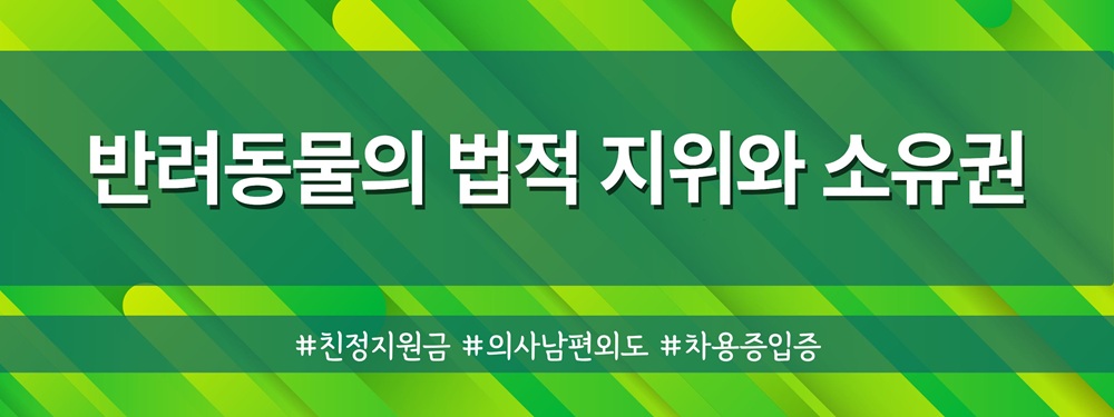 외도의사남편, 친정지원금 대여금반환 및 재산분할 이미지